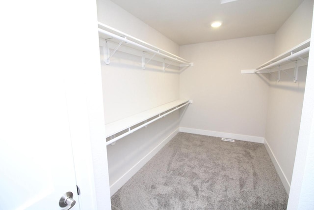 walk in closet featuring carpet