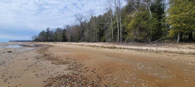 LT0 E State Highway M35, Menominee, MI 49858