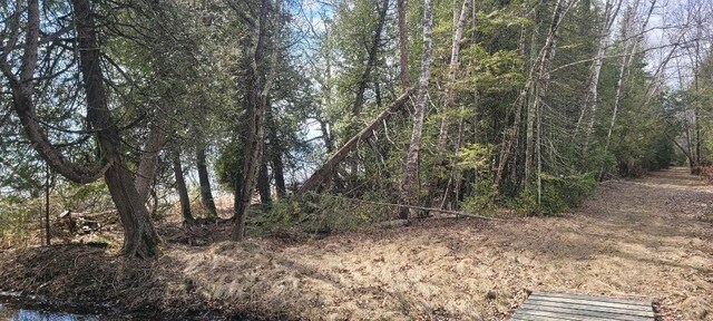 LT0 E State Highway M35, Menominee, MI 49858