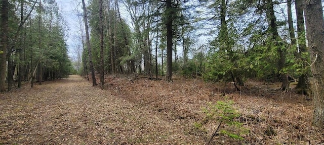 LT0 E State Highway M35, Menominee, MI 49858