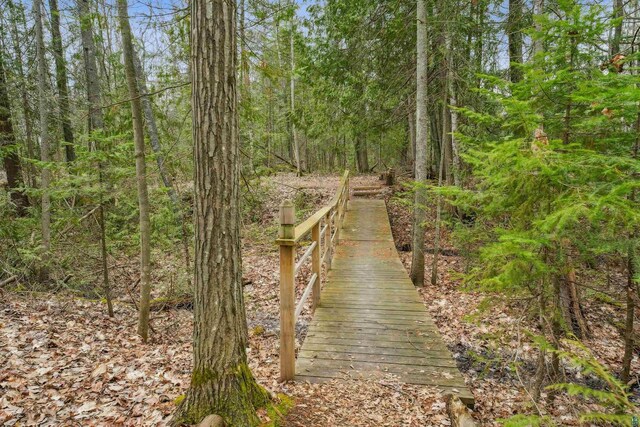 37475 Sophie Ln, Bayfield, WI 54814 - view of community featuring a forest view