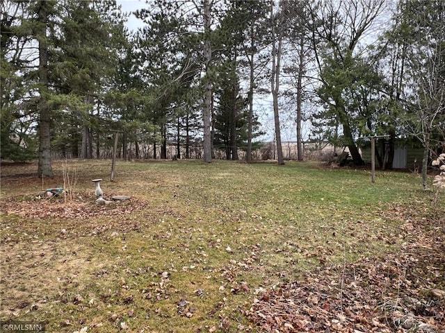 318 2nd Ave, Milltown, WI 54858 - view of yard