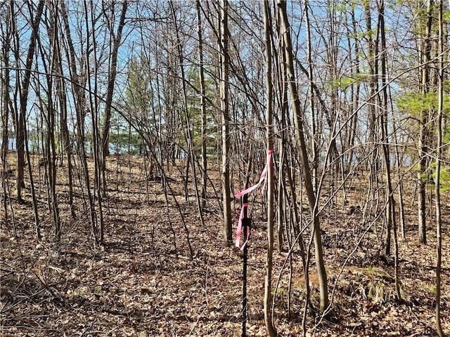 LOT13 1.71/-ACRES 295th Ave, Holcombe, WI 54745