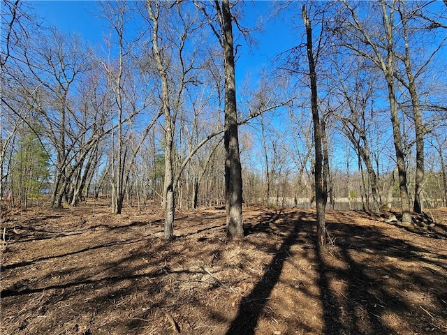 LOT13 1.71/-ACRES 295th Ave, Holcombe, WI 54745