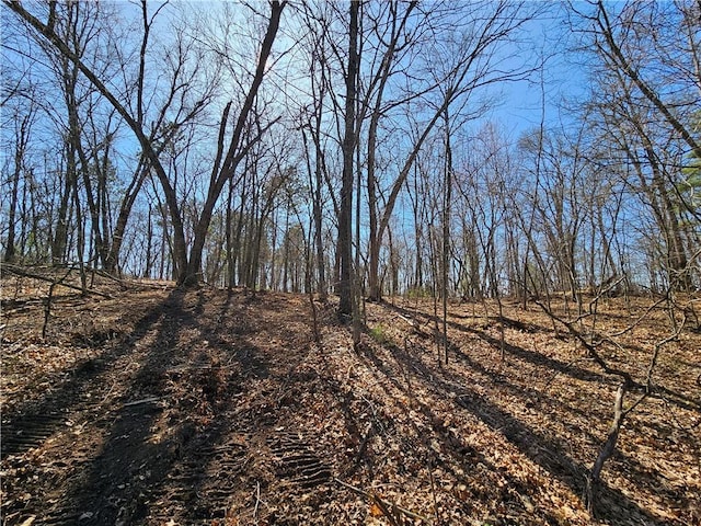 LOT13 1.71/-ACRES 295th Ave, Holcombe, WI 54745