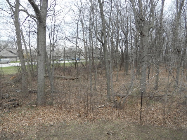 view of local wilderness