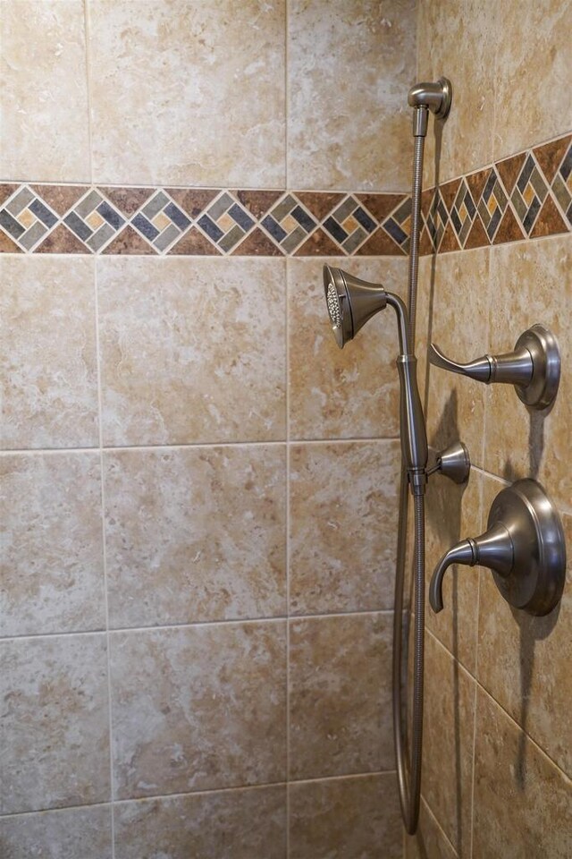 2005 Hollister Ave, Tomah, WI 54660 - interior details with tiled shower