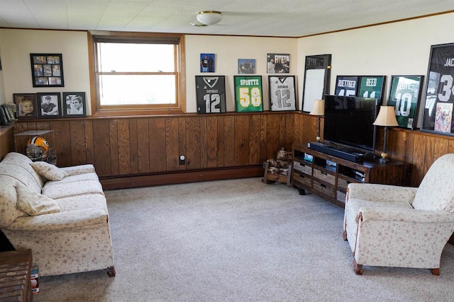 2005 Hollister Ave, Tomah, WI 54660 - living area featuring crown molding, wainscoting, wood walls, a baseboard heating unit, and carpet flooring