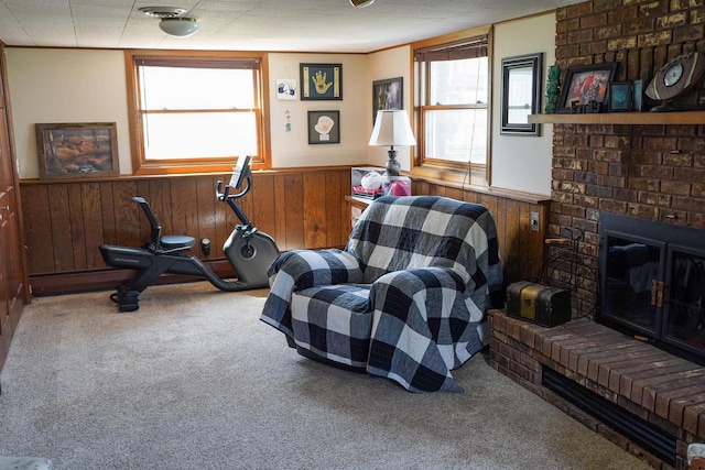 2005 Hollister Ave, Tomah, WI 54660 - sitting room with carpet flooring, a healthy amount of sunlight, and a fireplace