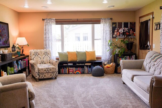 2005 Hollister Ave, Tomah, WI 54660 - carpeted living area with recessed lighting