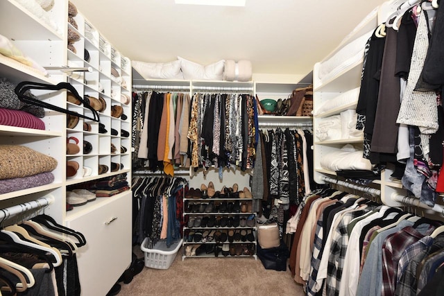 walk in closet featuring carpet
