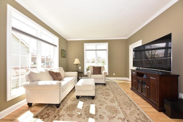 living area featuring crown molding, baseboards, and light wood-type flooring
