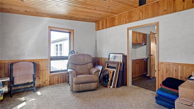 23603 69th Ave, Cadott, WI 54727 - living area with wooden walls, wainscoting, carpet, and wood ceiling