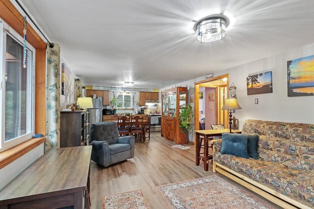 996 Inverness Ct, Nekoosa, WI 54457 - living room featuring light wood-style flooring
