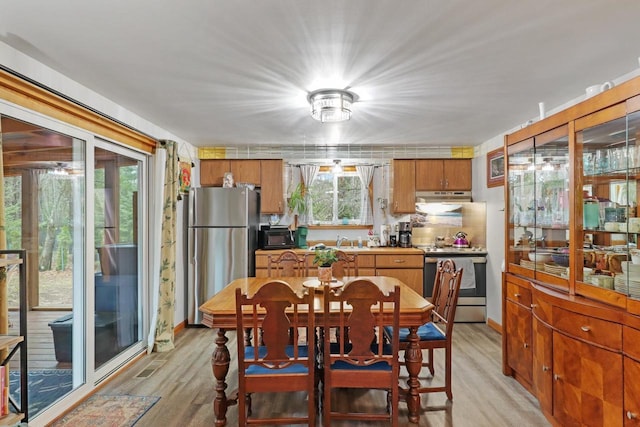 996 Inverness Ct, Nekoosa, WI 54457 - kitchen with appliances with stainless steel finishes, under cabinet range hood, light wood-style flooring, and a sink