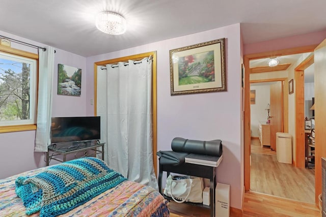 996 Inverness Ct, Nekoosa, WI 54457 - bedroom with wood finished floors and a closet