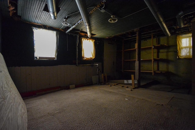 below grade area featuring wooden walls and carpet flooring