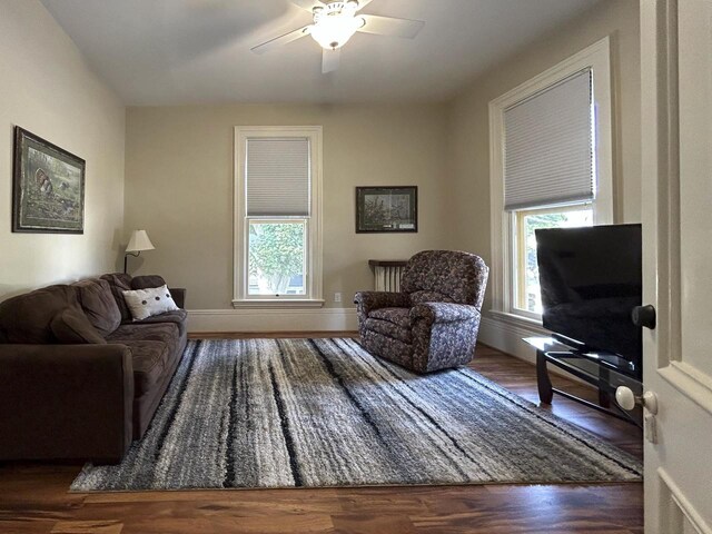 229 N Ludington St, Columbus, WI 53925 - living area featuring baseboards, ceiling fan, wood finished floors, and a wealth of natural light