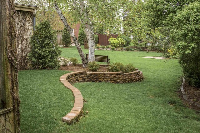 229 N Ludington St, Columbus, WI 53925 - view of yard featuring fence