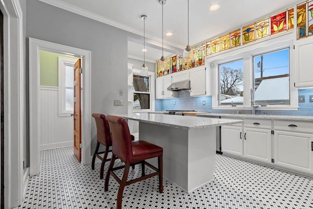 745 S Quincy St, Green Bay, WI 54301 - kitchen with a sink, under cabinet range hood, white cabinetry, ornamental molding, and light floors