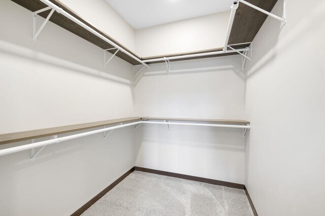2081 Antelope Trl, Kaukauna, WI 54130 - spacious closet featuring carpet floors