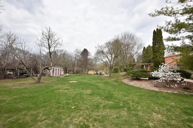 view of yard with an outdoor structure and a storage shed