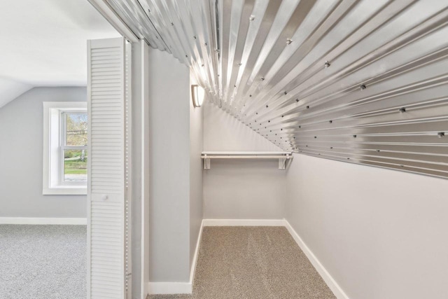 walk in closet featuring carpet and lofted ceiling