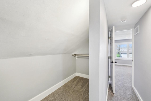 walk in closet with visible vents and carpet floors