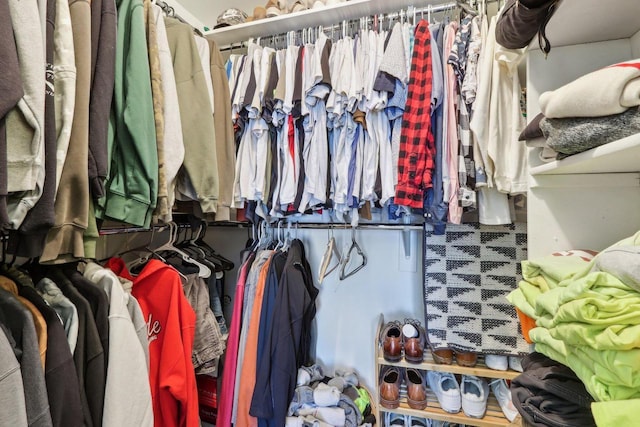 view of spacious closet