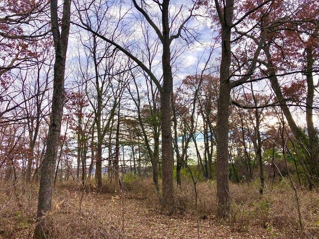 0 County Rd 37, Saint Charles, MN 55972