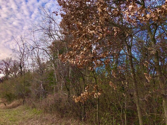 0 County Rd 37, Saint Charles, MN 55972