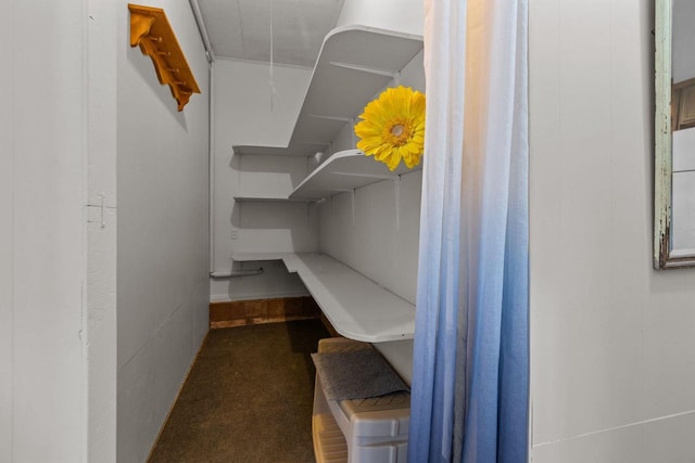 W2138 Melmar Dr, Markesan, WI 53946 - view of walk in closet