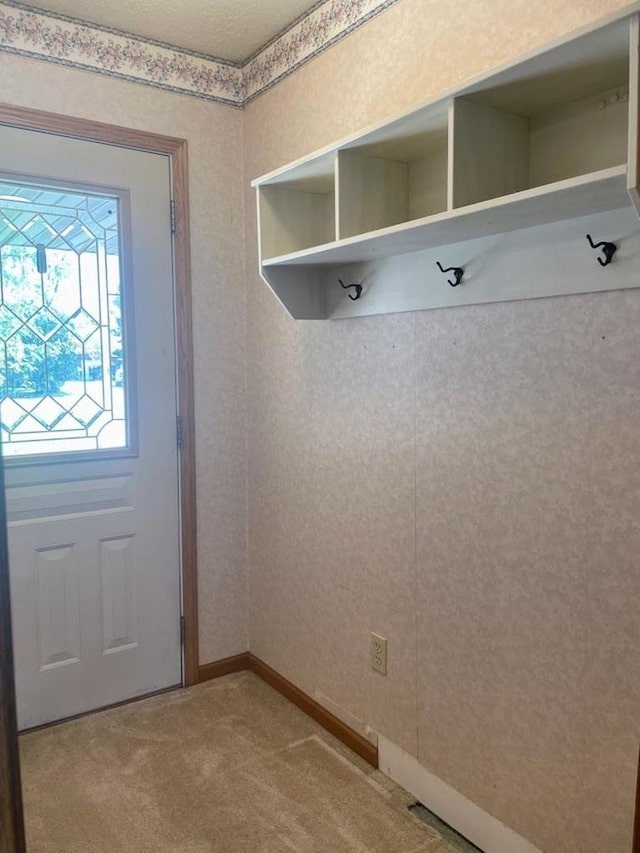 mudroom featuring light colored carpet and baseboards