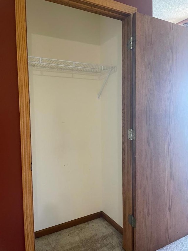 view of closet