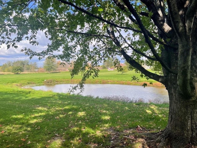 view of community with a yard and a water view