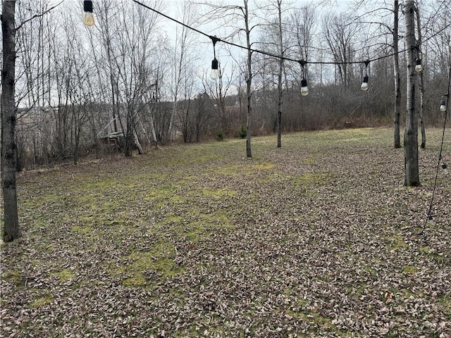 2931 28 7/8 St, Birchwood, WI 54817