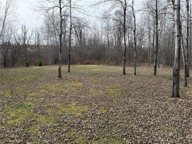 2931 28 7/8 St, Birchwood, WI 54817