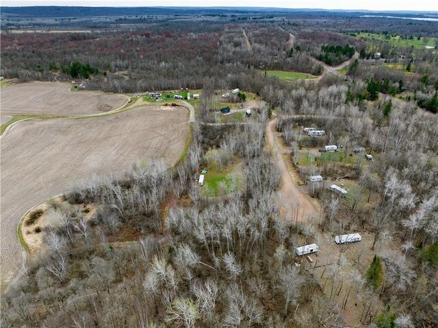 2931 28 7/8 St, Birchwood, WI 54817
