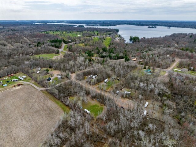 2931 28 7/8 St, Birchwood, WI 54817