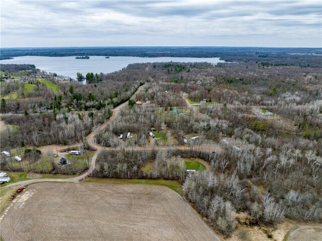 2931 28 7/8 St, Birchwood, WI 54817