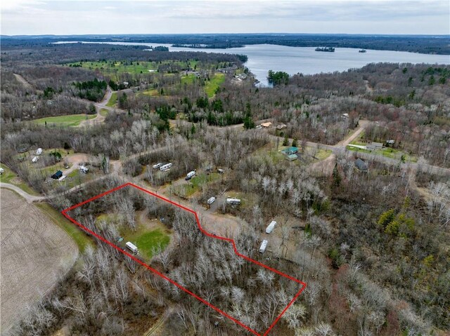 2931 28 7/8 St, Birchwood, WI 54817