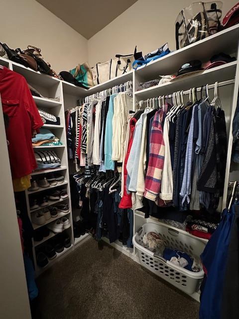 walk in closet with carpet flooring