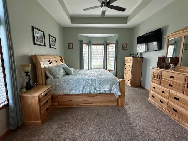 bedroom with a raised ceiling, carpet, and a ceiling fan