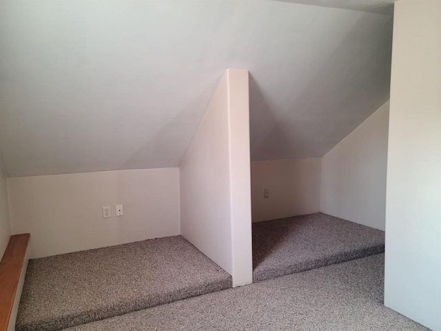 additional living space with carpet flooring and vaulted ceiling