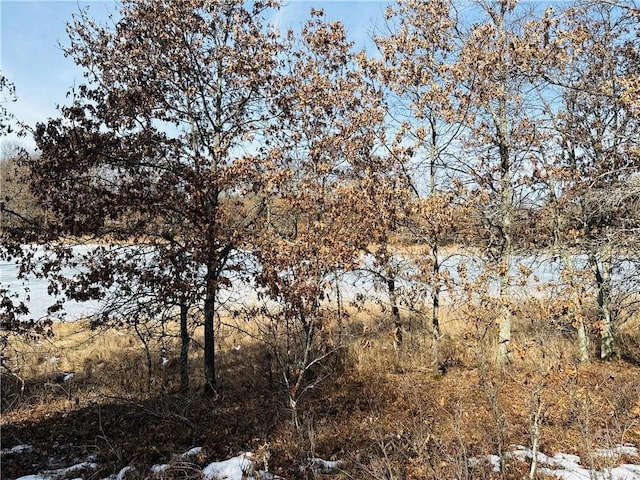 30093 Crystal Lake Dr, Danbury, WI 54830