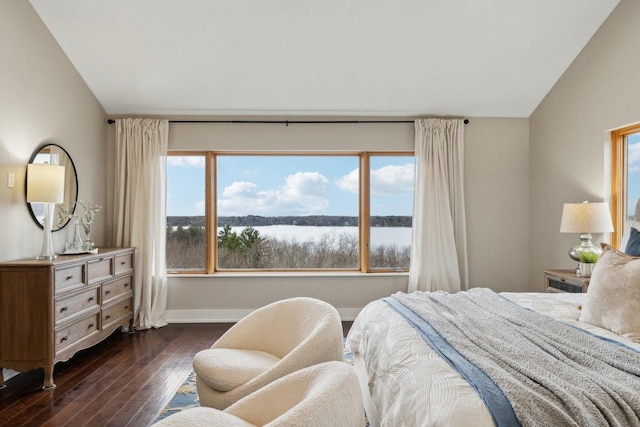 5400 N State Road 83, Hartland, WI 53029 - bedroom featuring baseboards, lofted ceiling, dark wood-style floors, and multiple windows