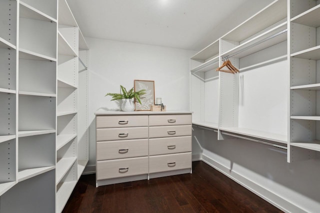 5400 N State Road 83, Hartland, WI 53029 - walk in closet featuring dark wood-type flooring