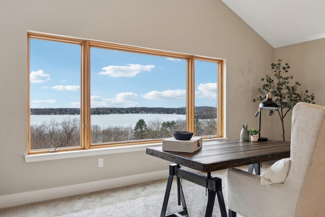 5400 N State Road 83, Hartland, WI 53029 - office space with carpet, a water view, and lofted ceiling