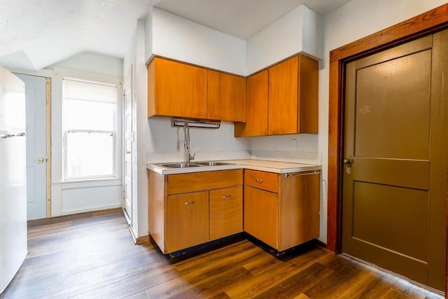 kitchen with dark wood-style floors, a sink, brown cabinetry, and light countertops