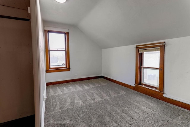 additional living space with a healthy amount of sunlight, carpet, and vaulted ceiling